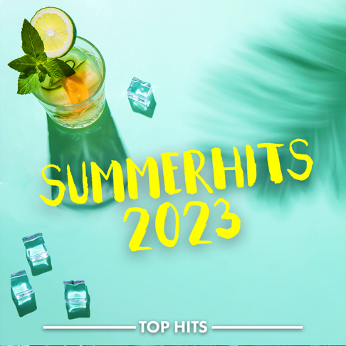  - Summerhits 2023