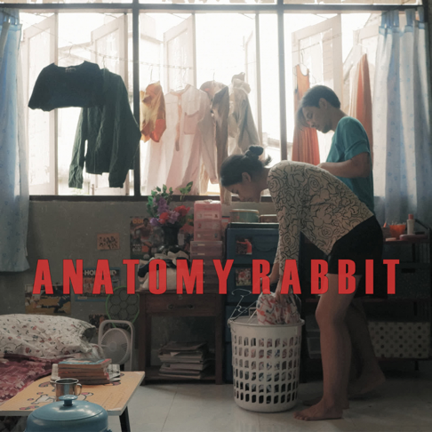 Anatomy Rabbit - &#3586;&#3629;&#3651;&#3627;&#3657;&#3650;&#3621;&#3585;&#3609;&#3637;&#3657;&#3651;&#3592;&#3604;&#3637;&#3585;&#3633;&#3610;&#3648;&#3608;&#3629;