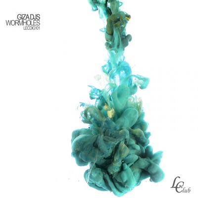  - Wormholes