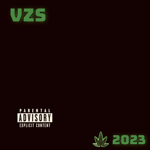 VZS - 2023