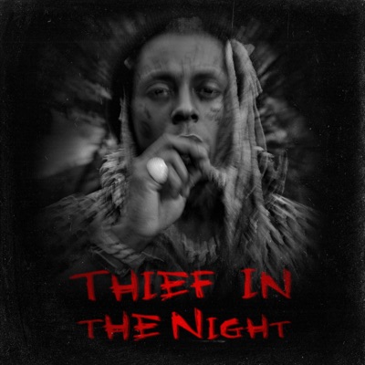 Lil Wayne, Drake - Thief in the Night