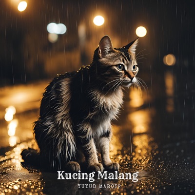  - Kucing Malang