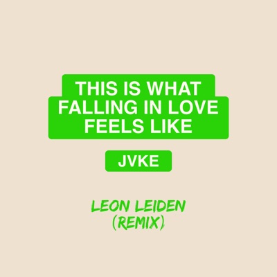  - this is what falling in love feels like (Leon Leiden Remix)