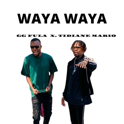  - Waya Waya (feat. Tidiane Mario)