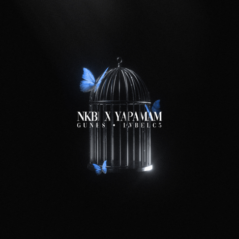 Lvbel C5 - NKB&#304; X YAPAMAM (Remix)