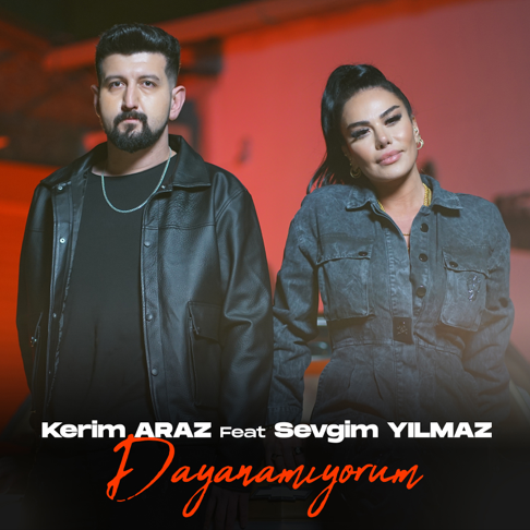 Kerim Araz, Sevgim Y&#305;lmaz - Dayanam&#305;yorum