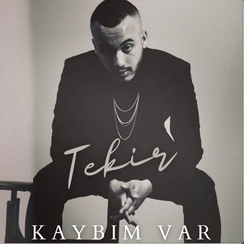 tekir - Kayb&#305;m Var