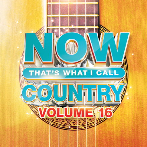  - NOW That's What I Call Country Vol. 16