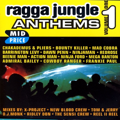  - Ragga Jungle Anthems Vol. One