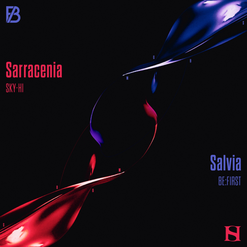 BE:FIRST - Sarracenia / Salvia