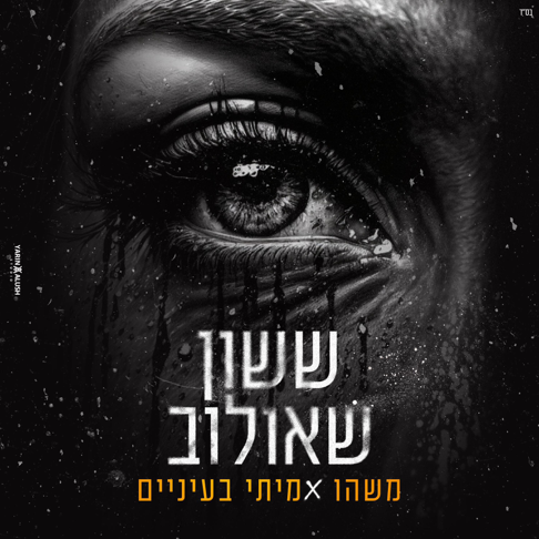 &#1513;&#1513;&#1493;&#1503; &#1488;&#1497;&#1508;&#1512;&#1501; &#1513;&#1488;&#1493;&#1500;&#1493;&#1489; - &#1502;&#1513;&#1492;&#1493; &#1488;&#1502;&#1497;&#1514;&#1497; &#1489;&#1506;&#1497;&#1504;&#1497;&#1497;&#1501;