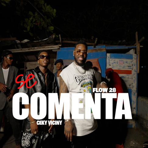 Flow 28, Ceky Viciny - Se Comenta