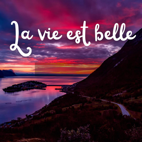  - La vie est belle