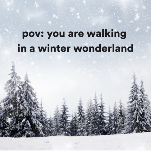  - pov: you are walking in a winter wonderland