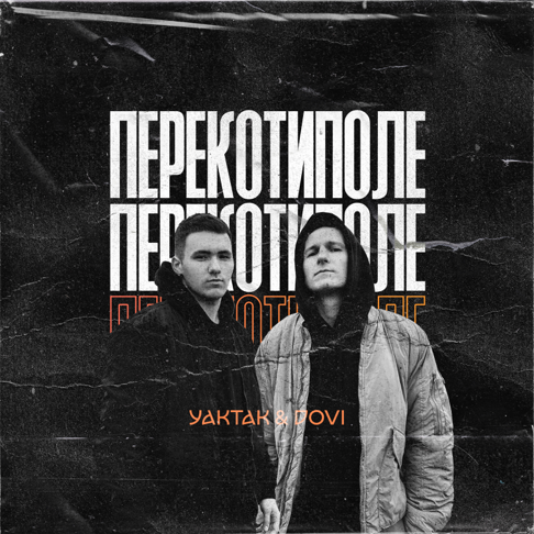 YAKTAK, DOVI - &#1055;&#1077;&#1088;&#1077;&#1082;&#1086;&#1090;&#1080;&#1087;&#1086;&#1083;&#1077;