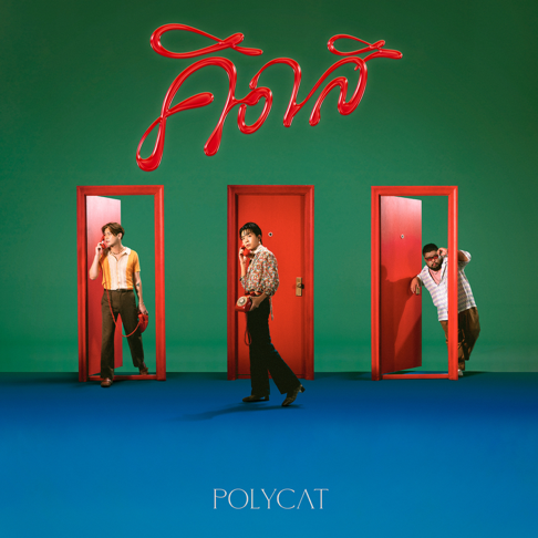 POLYCAT - &#3588;&#3636;&#3604;&#3626;&#3636;