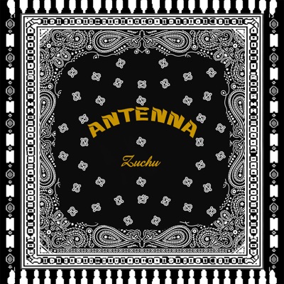  - Antenna