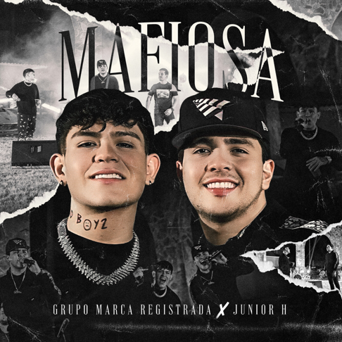 Grupo Marca Registrada, Junior H - Mafiosa