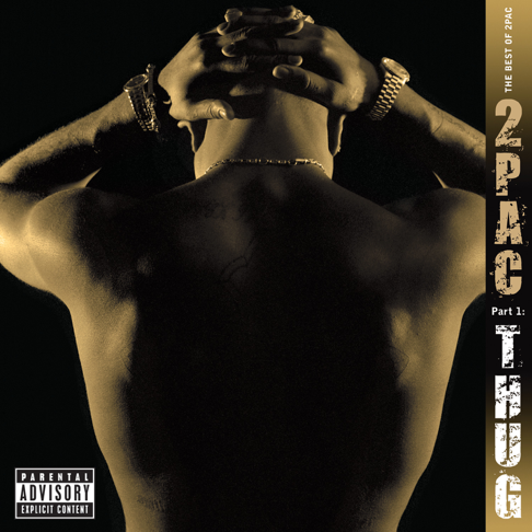 2Pac - The Best of 2Pac, Pt. 1: Thug