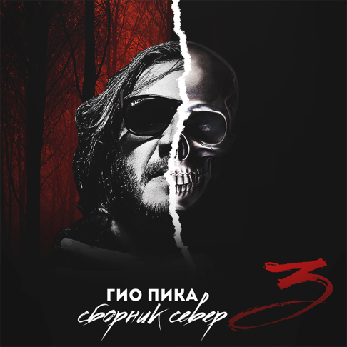 &#1043;&#1080;&#1086; &#1055;&#1080;&#1050;&#1072; - &#1057;&#1073;&#1086;&#1088;&#1085;&#1080;&#1082; &#1089;&#1077;&#1074;&#1077;&#1088; 3