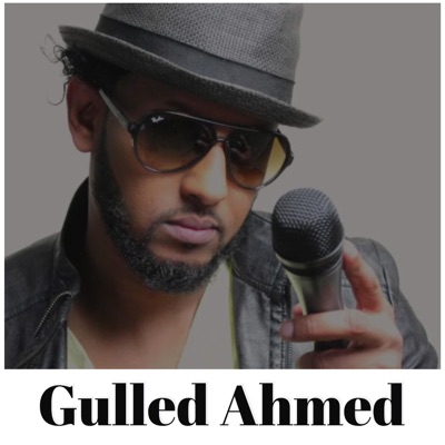  - Gulled Ahmed