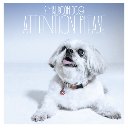  - Smallroom 009 - Attention Please