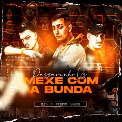  - Passarinho Que Som É Esse Mexe Com a Bunda