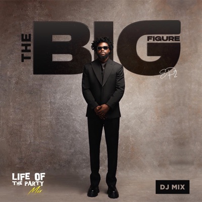  - Life of The Party Mix: Dj Enimoney, The Big Figure Mix, Ep. 2 (DJ Mix)