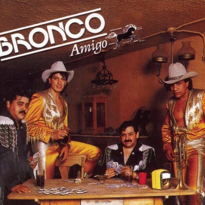  - Bronco Amigo