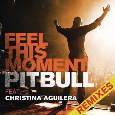 Pitbull - Feel This Moment (Remixes) [feat. Christina Aguilera]