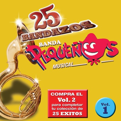  - 25 Bandazos de Pequeños Músical