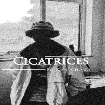  - Cicatrices