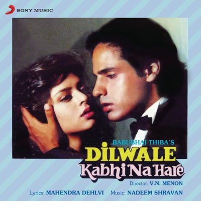  - Dilwale Kabhi Na Hare (Original Motion Picture Soundtrack)