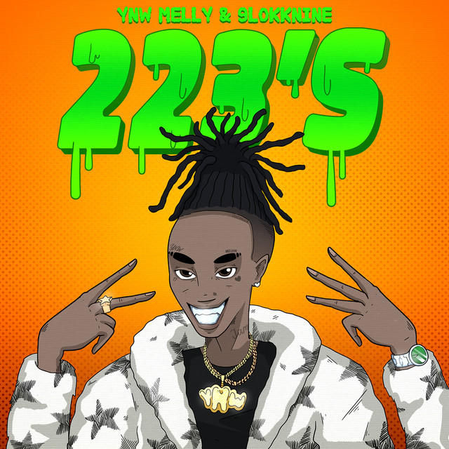 YNW Melly, 9lokknine - 223's (feat. 9lokknine)