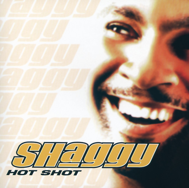 DiRealShaggy - Hot Shot