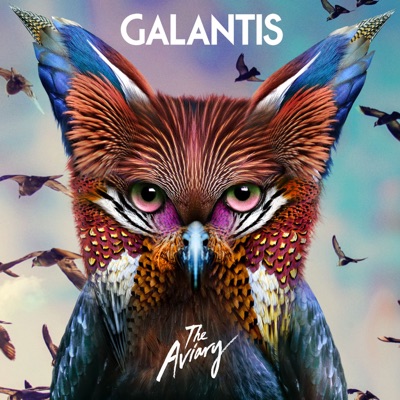 wearegalantis - The Aviary