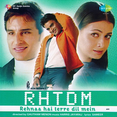  - Rehnaa Hai Terre Dil Mein (Original Motion Picture Soundtrack)