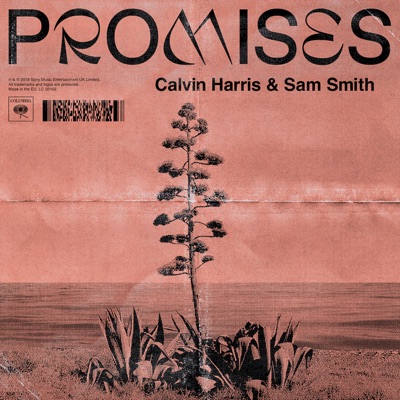 Calvin Harris, Sam Smith - Promises