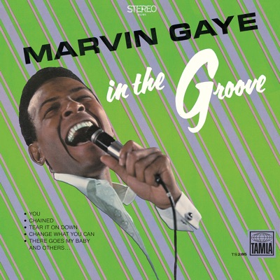 Marvin Gaye - In the Groove