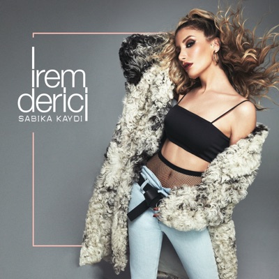 &#304;rem Derici - Sabıka Kaydı