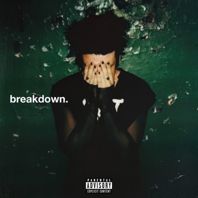  - breakdown.