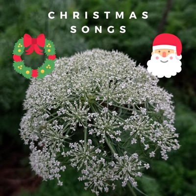  - Christmas Songs