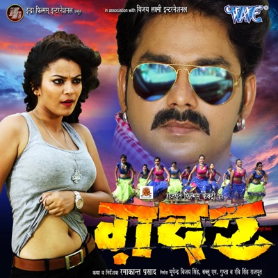 Pawan Singh - Gadar