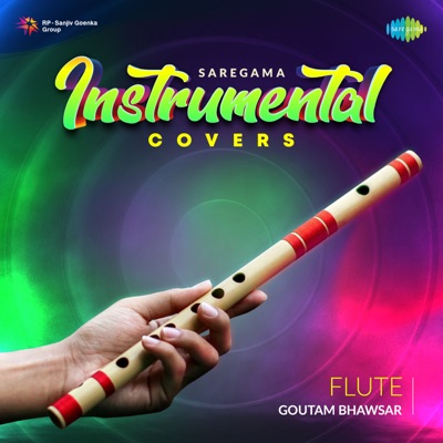  - Saregama Instrumental Covers