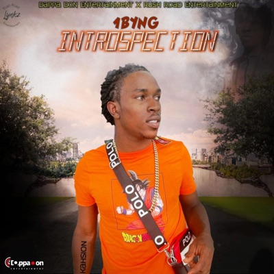  - Introspection