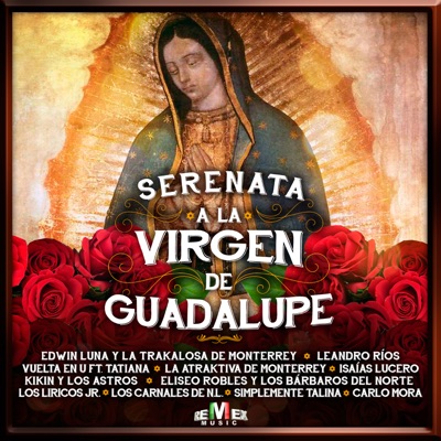  - Serenata a la Virgen de Guadalupe