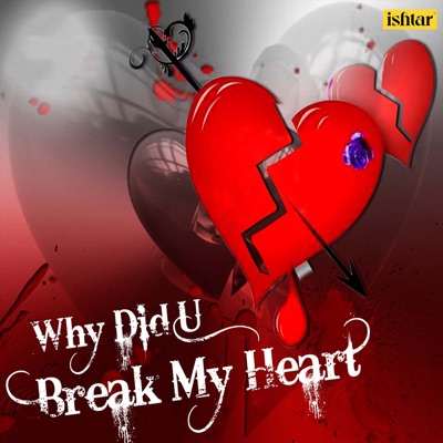 Abhijeet, Sadhana Sargam - Why Did U Break My Heart