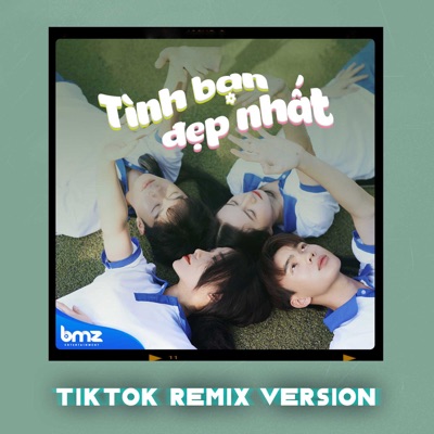  - Tình Bạn Đẹp Nhất (TikTok Remix)