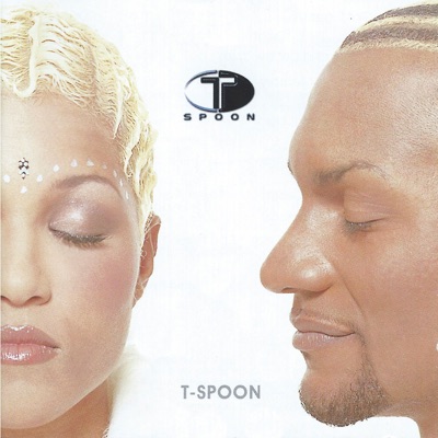 Tspoon - T