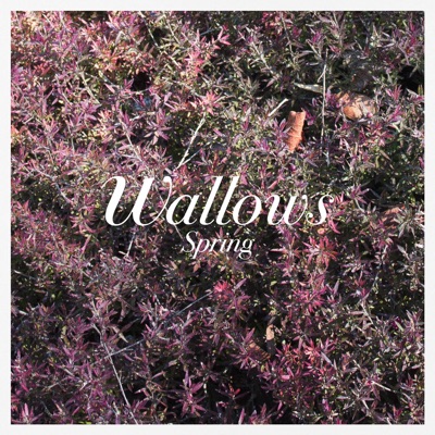 Wallows - Spring